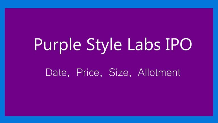 Purple Style Labs IPO